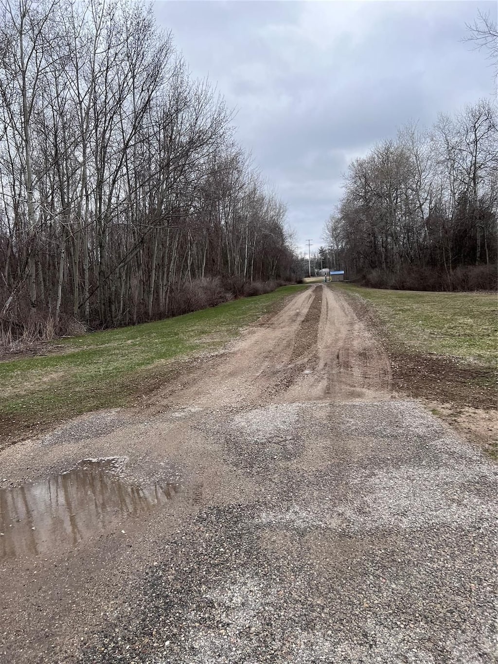 5239 N Coleman Rd, Coleman, MI 48618