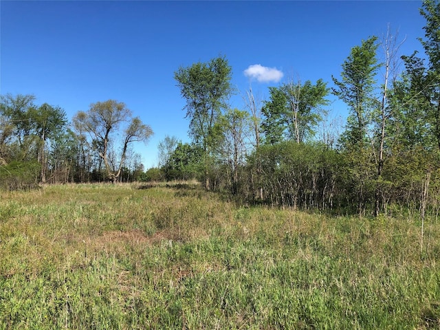 ParcelD Graham Road, Imlay City MI, 48444 land for sale