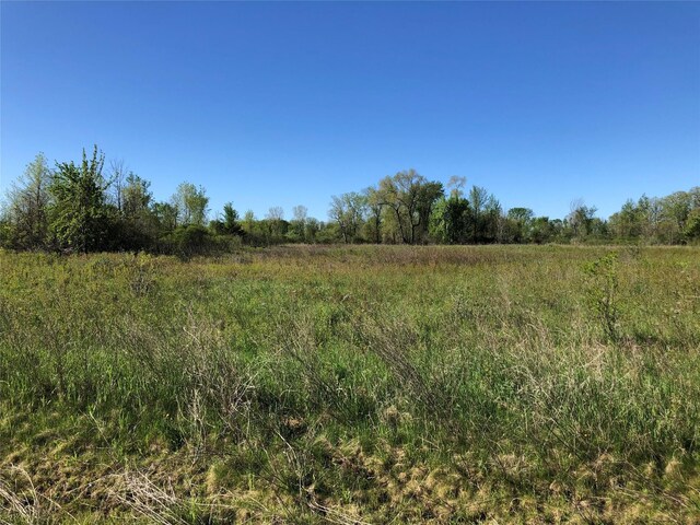 ParcelG Imlay City Road, Imlay City, MI 48444 - photo 3