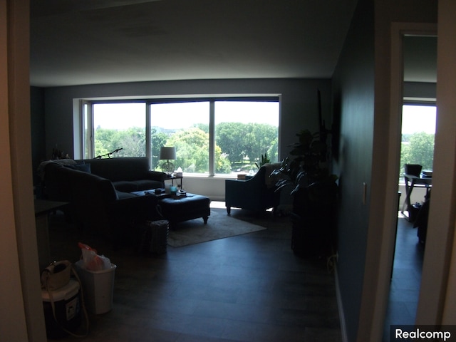 living room with hardwood / wood-style floors