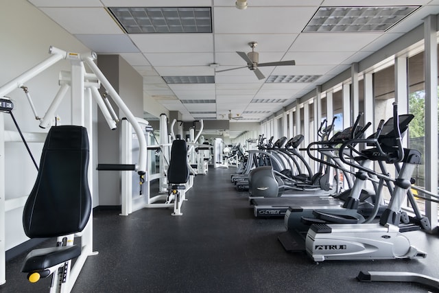 gym with a paneled ceiling and ceiling fan