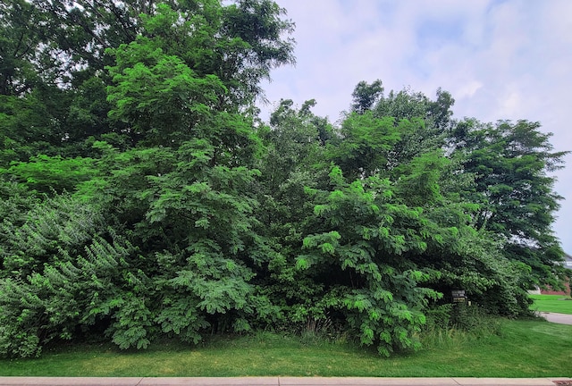 LOT12 Wyndam Ln, Brighton, MI 48116