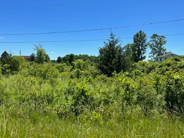 0 E Wilson Rd, Clio MI, 48420 land for sale