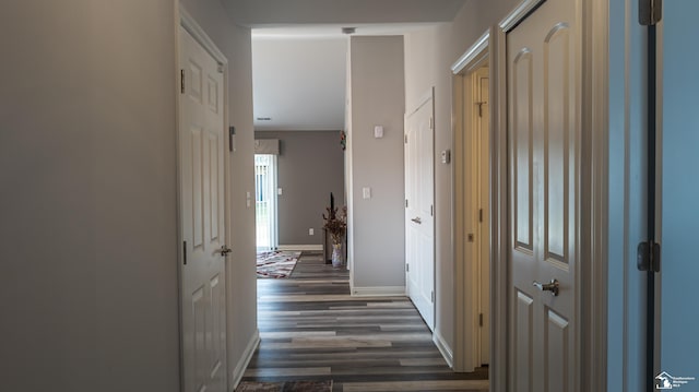 corridor featuring dark hardwood / wood-style flooring