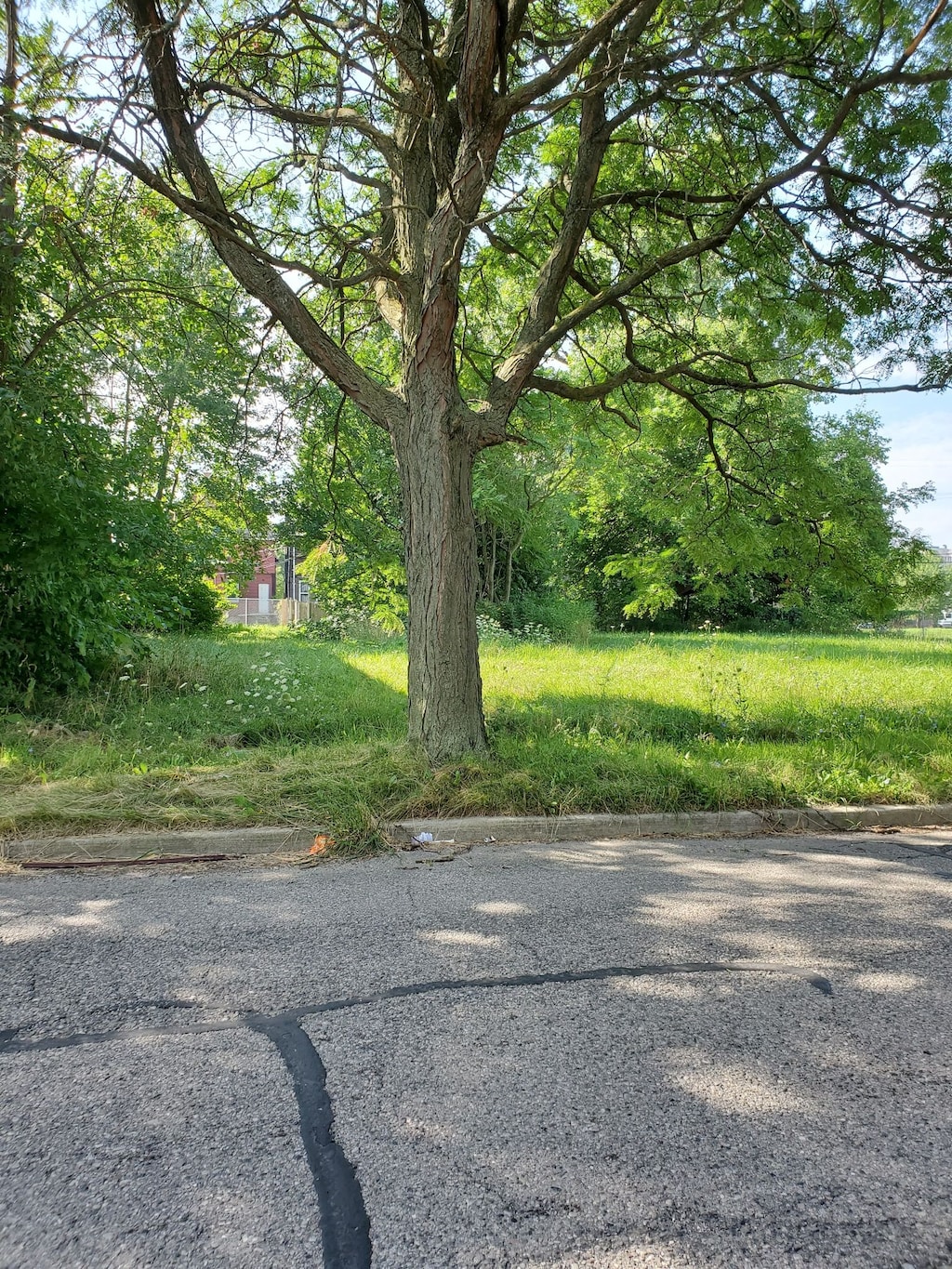 314 Mount Vernon Ave, Grosse Pointe Farms, MI 48236 - photo 1
