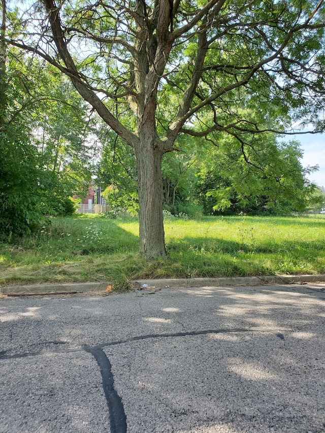 314 Mount Vernon Ave, Grosse Pointe Farms, MI 48236 - photo 1