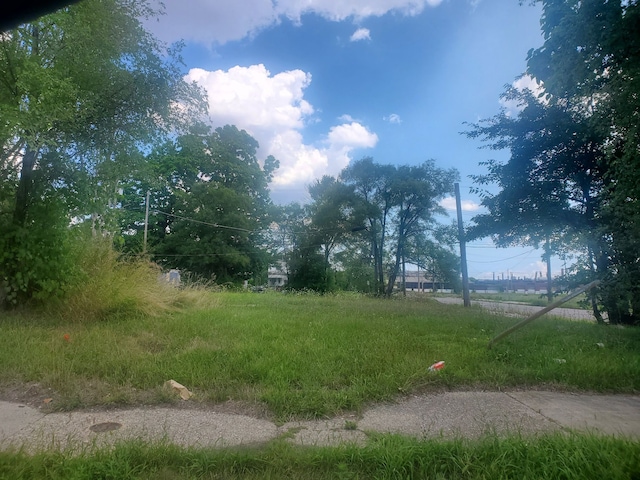 6102 Rosa Parks Blvd, Detroit, MI 48208 - photo 1