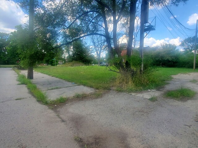 6102 Rosa Parks Blvd, Detroit, MI 48208 - photo 3