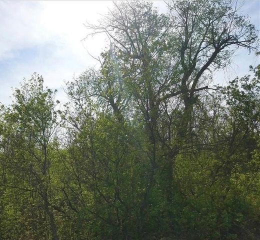 0000 S Lapeer Rd, Lake Orion, MI 48362