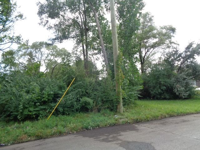 2881 17th St, Detroit, MI 48216