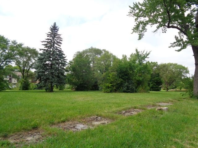 2881 17th St, Detroit, MI 48216