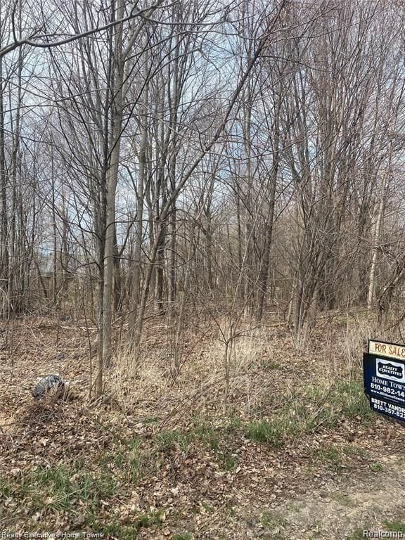 3183 Blackheath Ct, Port Huron MI, 48060 land for sale