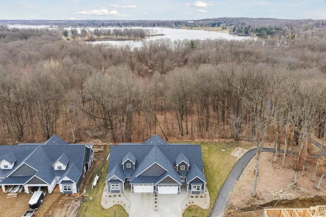 1140 Lochaven Cir Unit 10B, Hillsdale, MI 49242 - view from above of property with a large body of water
