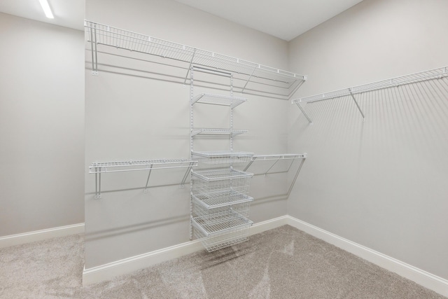 1140 Lochaven Cir Unit 10B, Hillsdale, MI 49242 - walk in closet with carpet flooring