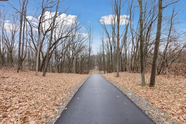 1140 Lochaven Cir Unit 10B, Hillsdale, MI 49242 - view of road