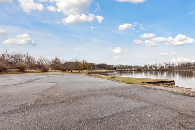 1140 Lochaven Cir Unit 10B, Hillsdale, MI 49242 - view of asphalt road with a water view