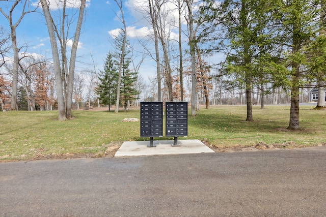 view of community featuring mail boxes and a lawn