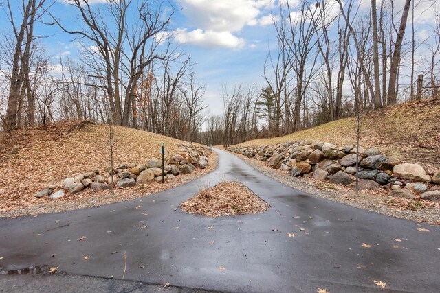 1140 Lochaven Cir Unit 10B, Hillsdale, MI 49242 - view of road
