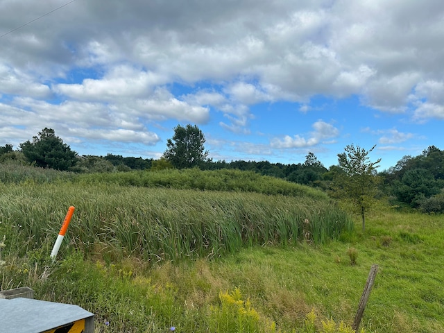 000 Wildcat Rd, Jeddo, MI 48032