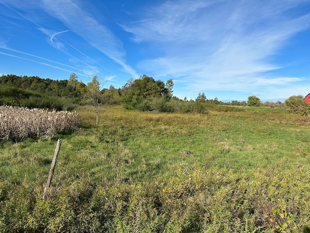 003 Wildcat Rd, Jeddo, MI 48032