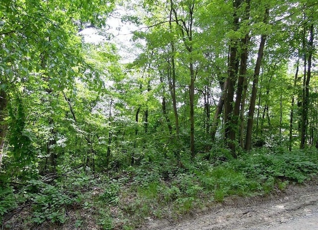 00 Johnson, Lake Orion MI, 48033 land for sale