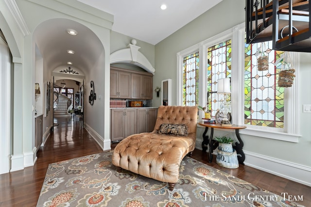 living area with dark wood-type flooring