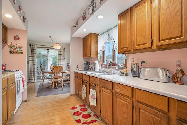 kitchen featuring light hardwood / wood-style floors, white range with gas cooktop, a healthy amount of sunlight, and sink