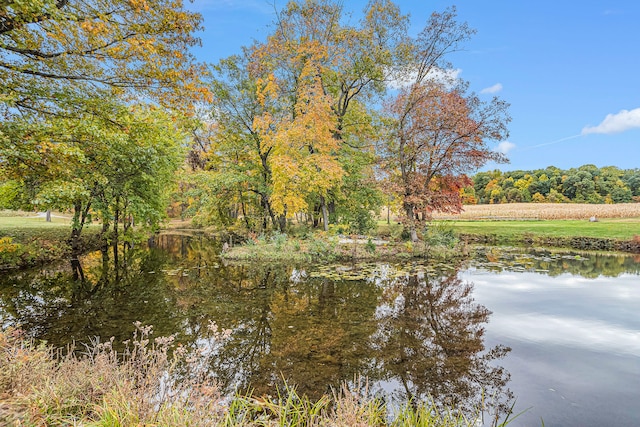 view of water feature