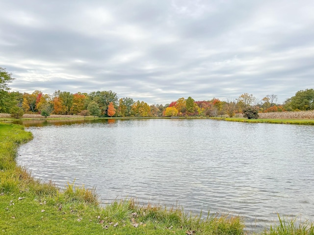 property view of water