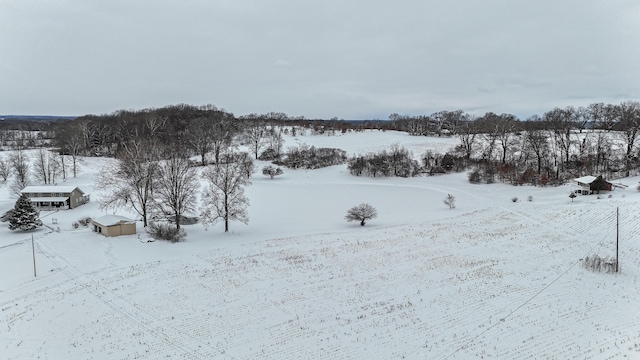 view of yard layered in snow