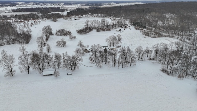 view of snowy aerial view