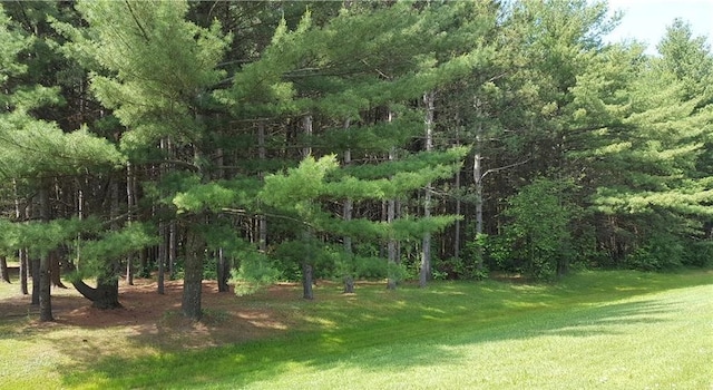 S Washburn Rd, Mayville, MI 48768