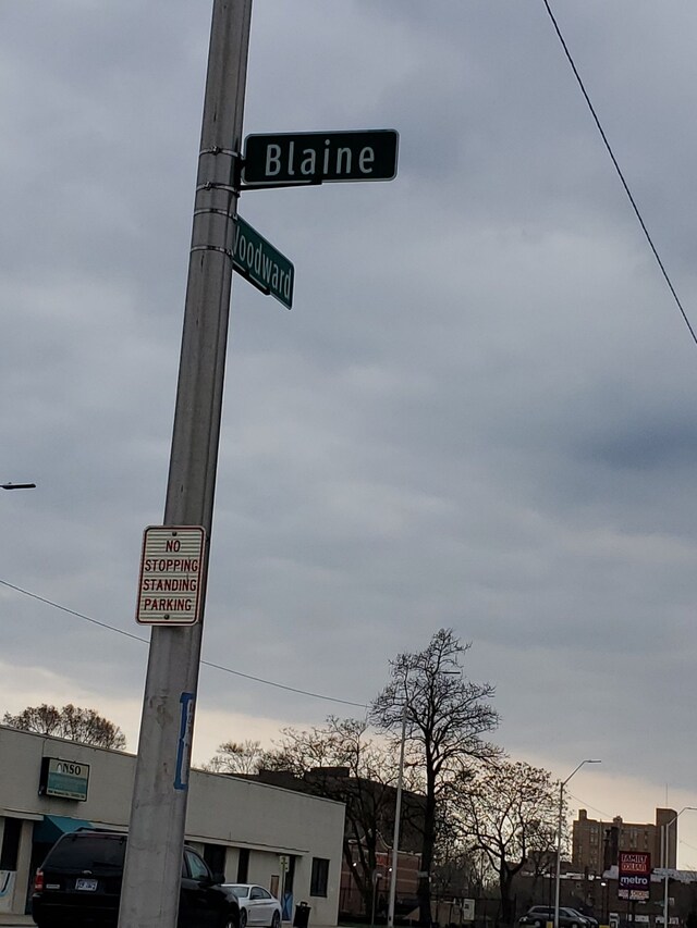 101 Blaine St, Detroit, MI 48202 - photo 5