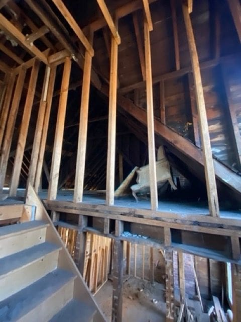 100 Pingree St, Detroit, MI 48202 - view of unfinished attic