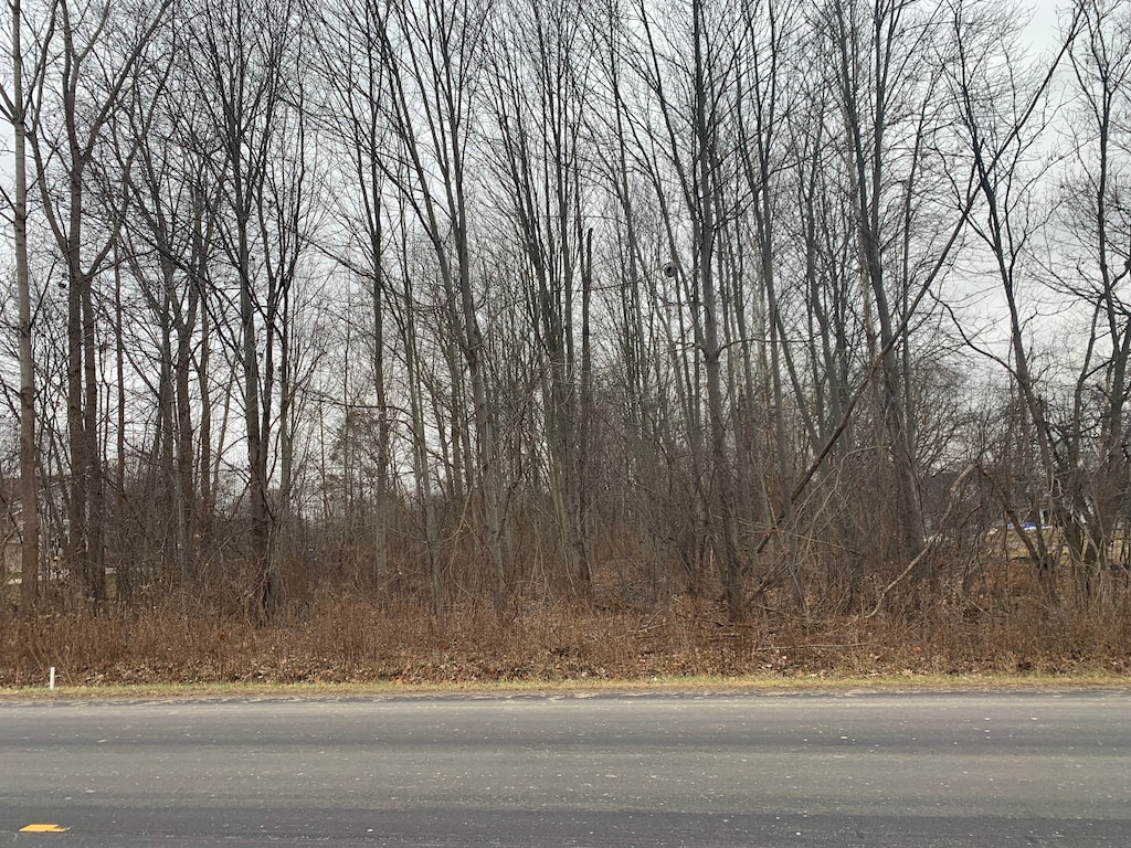 00000 Denton Rd, Canton, MI 48188