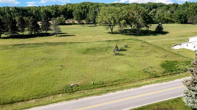 1017 Birdie Dr, Michigan, MI 48893