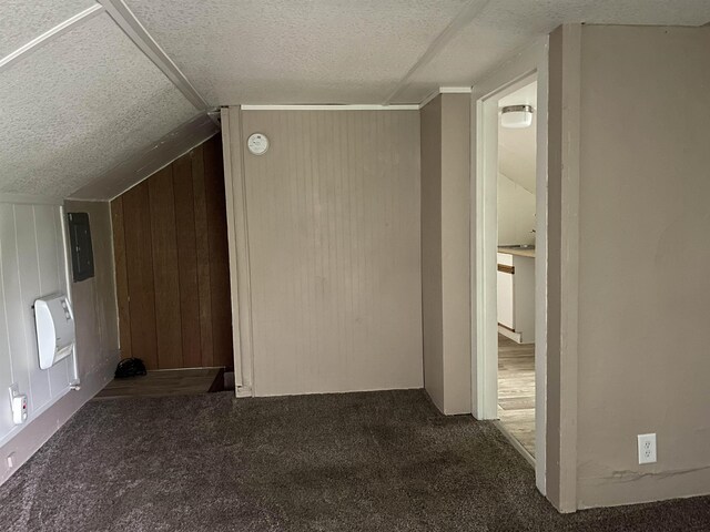 415 S Franklin, Mount Pleasant, MI 48858 - additional living space with carpet flooring, a textured ceiling, vaulted ceiling, electric panel, and wood walls