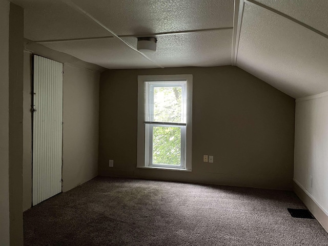 415 S Franklin, Mount Pleasant, MI 48858 - bonus room featuring carpet flooring, vaulted ceiling, and a textured ceiling