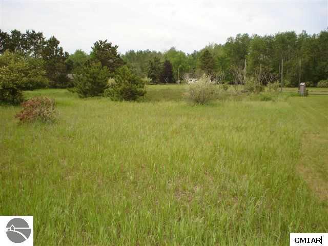 1049 Duquesa Ln, Lake Isabella, MI 48893
