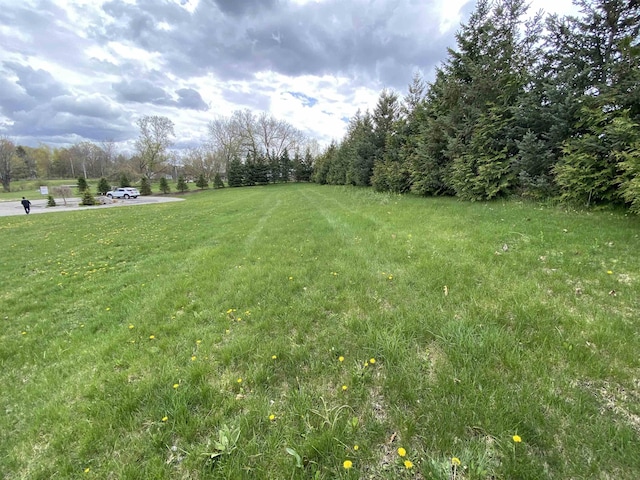 2803 W Shore Dr, Central Lake, MI 49622