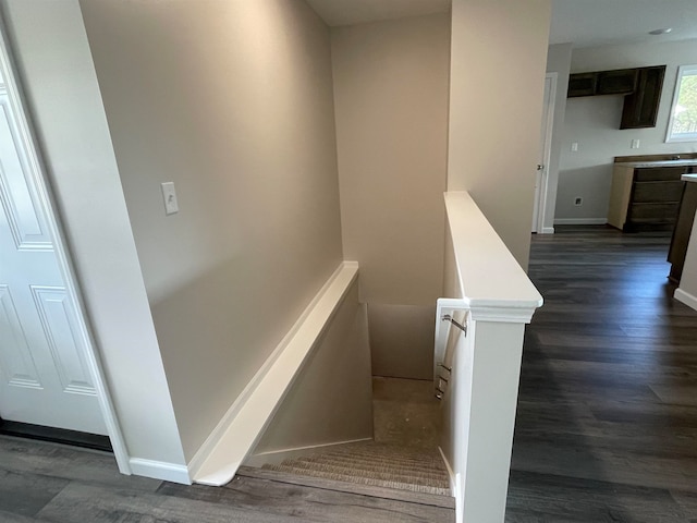 stairway featuring wood-type flooring