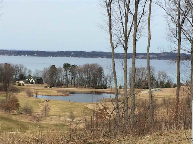 4178 Dornoch Ct, Williamsburg, MI 49690