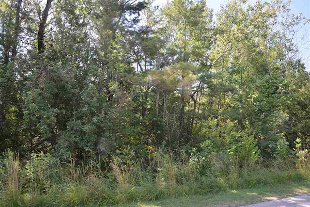0000 Spruce St, Elk Rapids, MI 49629