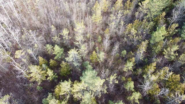 0000 Spruce St, Elk Rapids, MI 49629