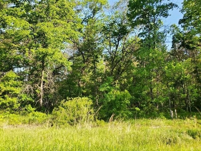 0 Quigley Rd, Alger, MI 48610