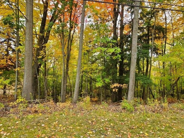 0 Margo, Tawas City MI, 48763 land for sale