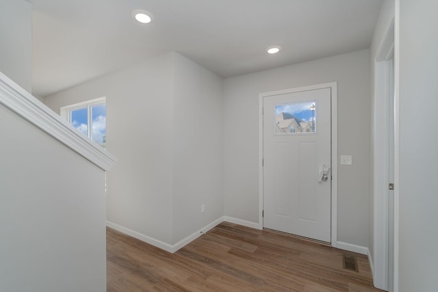 entrance foyer featuring wood-type flooring