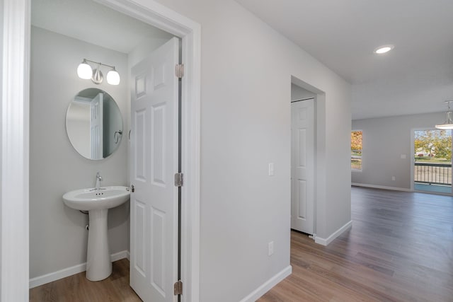 bathroom with wood-type flooring