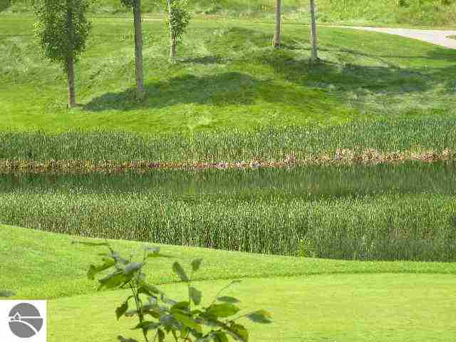 LOT144 Falcons Spur, Bellaire, MI 49615 - photo 3