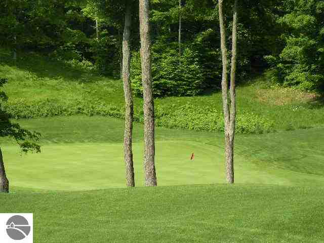 LOT144 Falcons Spur, Bellaire, MI 49615 - photo 6